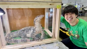 サルバトールモニター アザンティック 日本CB LZｰ0020ｰ26061