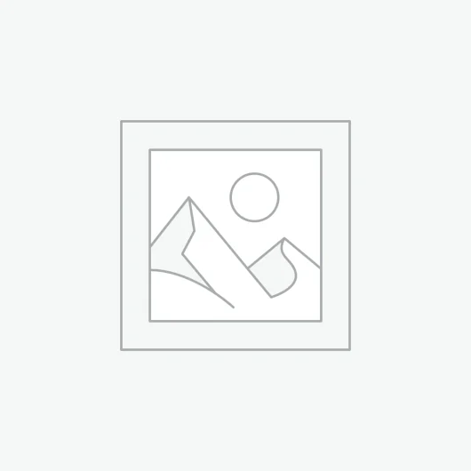 プレースホルダー